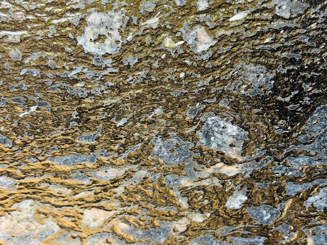 Majestic Black Lapotra